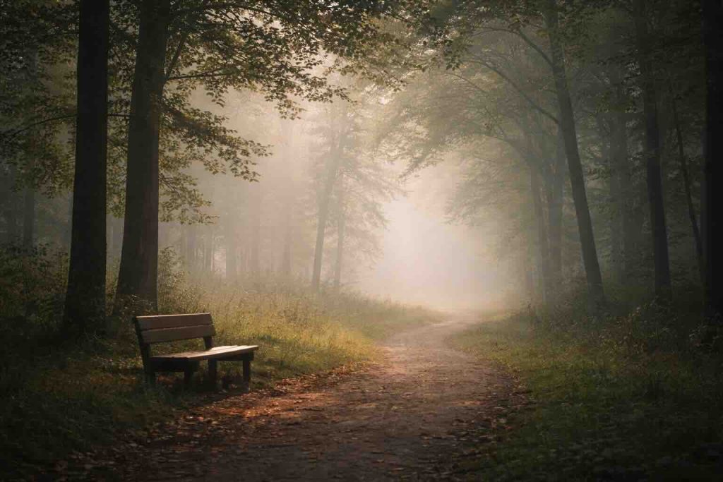 Rolig skovsti i tåge med bænk som symbol på refleksion og sorgens proces