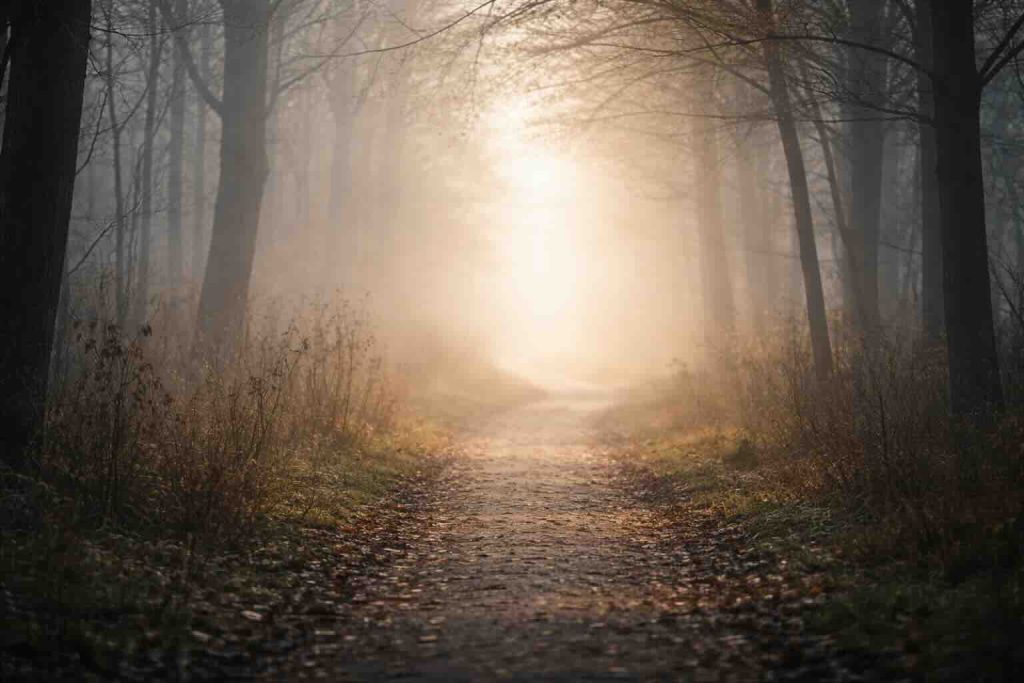 Sorg symboliseret som stille skovsti i tåge med blødt lys og rolig stemning